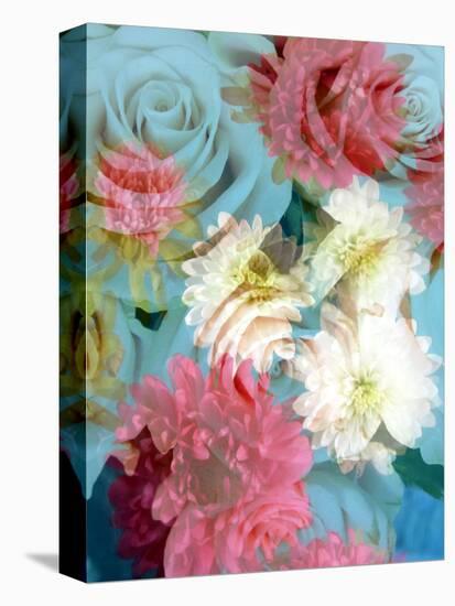 A Floral Montage from Flowers-Alaya Gadeh-Premier Image Canvas