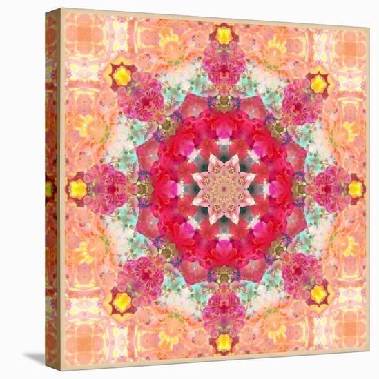 A Floral Montage, Layer Work from Pink and Red Poeny Blossoms and Pink Cherry Blossoms-Alaya Gadeh-Premier Image Canvas