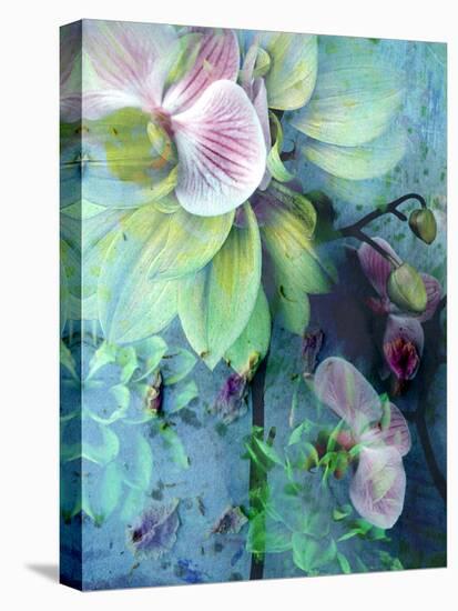 A Floral Montage of Dahlia and Orchid-Alaya Gadeh-Premier Image Canvas