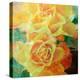 A Floral Montage of Yellow Roses and Ornamental Texture, Photograph, Layer Work-Alaya Gadeh-Premier Image Canvas