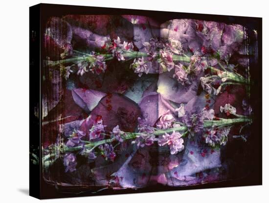 A Floral Montage on an Open Book-Alaya Gadeh-Premier Image Canvas