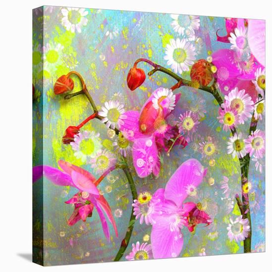 A Floral Montage with Pink Orchid and Daisy-Alaya Gadeh-Premier Image Canvas