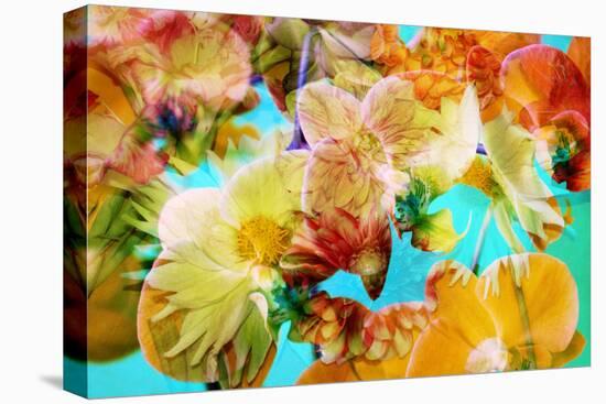 A Floral Montage-Alaya Gadeh-Premier Image Canvas