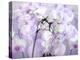 A Floral Montage-Alaya Gadeh-Premier Image Canvas