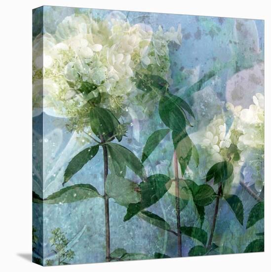 A Floral Montage-Alaya Gadeh-Premier Image Canvas