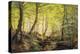 A Forest Glade-Johannes Boesen-Premier Image Canvas