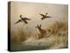 A Fox flushing a Mallard and a Duck, 1870 oil on board-null-Premier Image Canvas