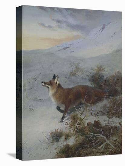 A Fox in a Winter Landscape-Archibald Thorburn-Premier Image Canvas