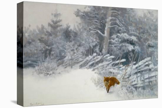A Fox in Winter Woods, 1928-Bruno Andreas Liljefors-Premier Image Canvas
