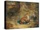 A Fox with a Pheasant-George Havell-Premier Image Canvas