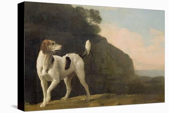 A Foxhound, C.1760 (Oil on Paper Laid on Board)-George Stubbs-Premier Image Canvas
