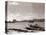 A Fraserburgh Herring Boat Returns to Port Escorted by a Squadron of Sea Gulls, 1935-null-Premier Image Canvas