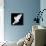 A Free Flying White Dove Isolated On A Black Background-Irochka-Stretched Canvas displayed on a wall