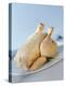 A Fresh Chicken-Ulrike Koeb-Premier Image Canvas