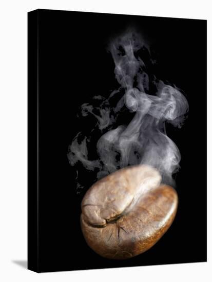 A Freshly Roasted Coffee Bean with Steam-Shawn Hempel-Premier Image Canvas