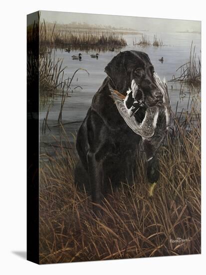 A Friend in the Marsh-Kevin Daniel-Stretched Canvas