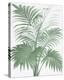 A Friendly Palm-The Vintage Collection-Stretched Canvas