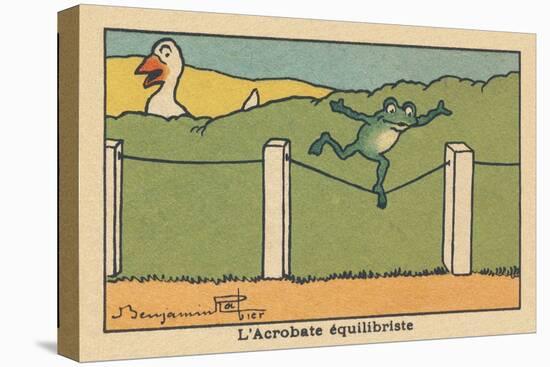 A Frog Balances on a Tight Wire.” the Balancing Acrobat” ,1936 (Illustration)-Benjamin Rabier-Premier Image Canvas