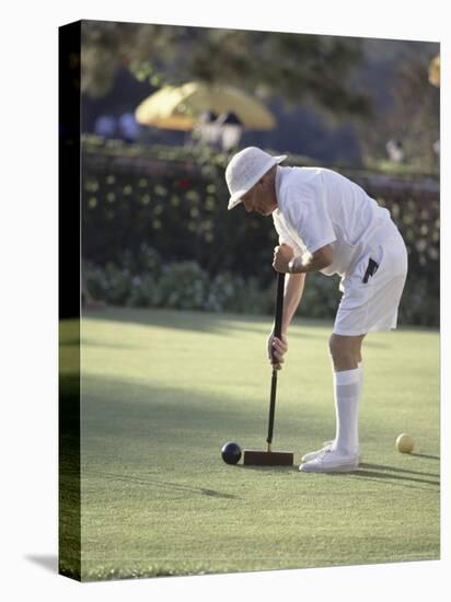 A Game of Croquet-null-Premier Image Canvas