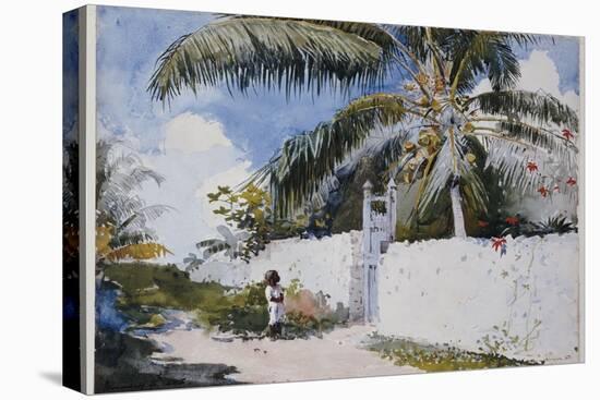 A Garden in Nassau, 1885-Winslow Homer-Premier Image Canvas