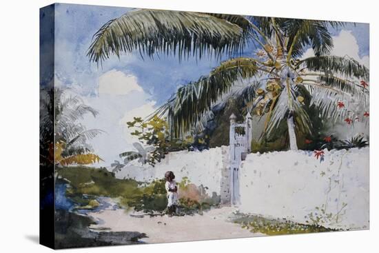 A Garden in Nassau, 1885-Winslow Homer-Premier Image Canvas