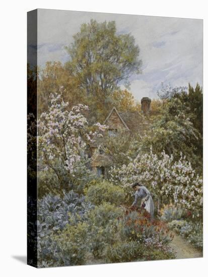 A Garden in Spring-Helen Allingham-Premier Image Canvas