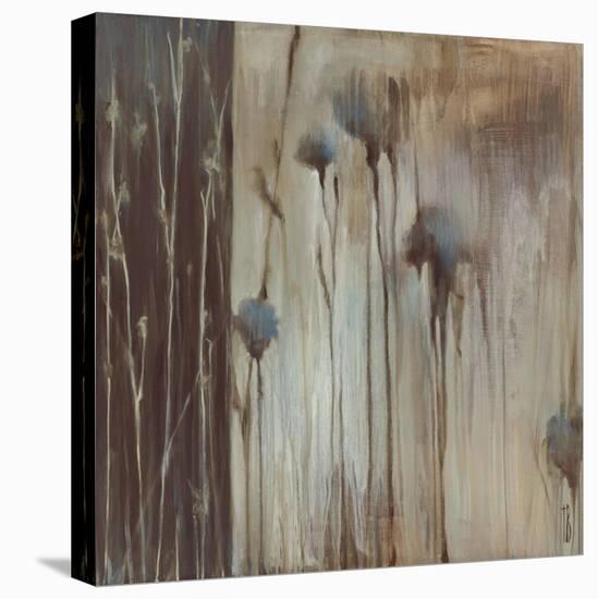 A Garden in the Woods-Terri Burris-Stretched Canvas