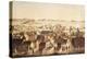 A General View of San Francisco, C.1850-52-Francis Samuel Marryat-Premier Image Canvas