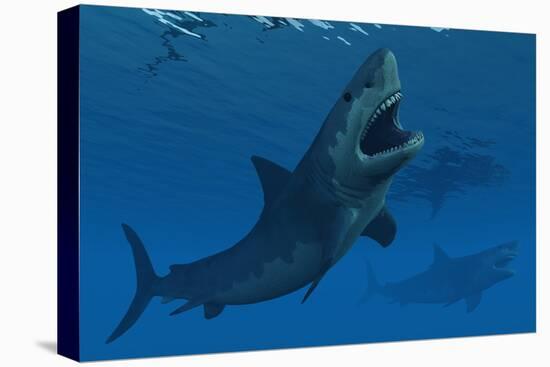 A Giant Megalodon Shark During the Cenozoic Era of Time-Stocktrek Images-Stretched Canvas