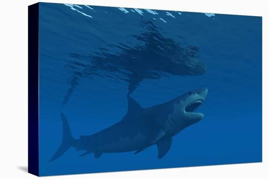 A Giant Megalodon Shark During the Cenozoic Era of Time-Stocktrek Images-Stretched Canvas