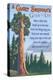 A Giant Sequoia's Guide to Life-Lantern Press-Stretched Canvas