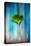 A Ginkgo Leaf-Philippe Sainte-Laudy-Premier Image Canvas