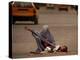 A Girl, 7, Sick with Fever, Lies on a Street-null-Premier Image Canvas