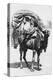 A Girl on a Camel Litter, Algeria, 1922-Crete-Premier Image Canvas