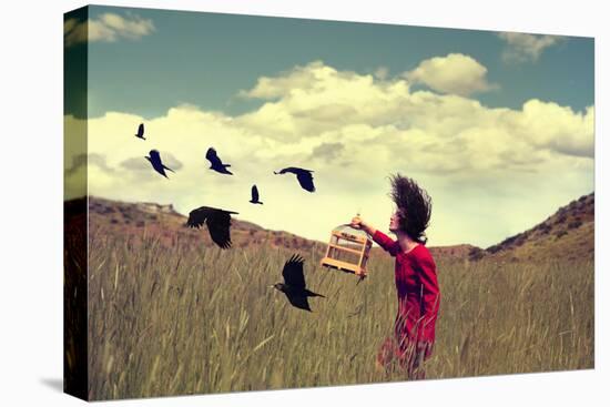 A Girl Walking through a Field with a Flock of Ravens or Crows Toned with a Retro Vintage Instagram-Annette Shaff-Premier Image Canvas