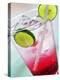 A Glass of Raspberry Soda with Ice Cubes and Lime Slices-null-Premier Image Canvas