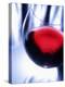 A Glass of Red Wine, Close-Up-Joerg Lehmann-Premier Image Canvas