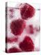 A Glass of Water with Raspberry Ice Cubes-Nadja Walger-Premier Image Canvas