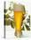 A Glass of Wheat Beer-Eising Studio - Food Photo and Video-Premier Image Canvas