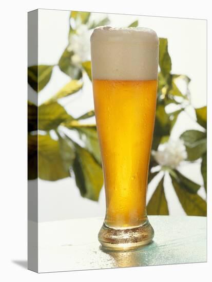 A Glass of Wheat Beer-Eising Studio - Food Photo and Video-Premier Image Canvas