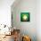 A Golden Soccer Ball with Laurel Wreath Against Shining Stars and Green-Olena Bogadereva-Stretched Canvas displayed on a wall