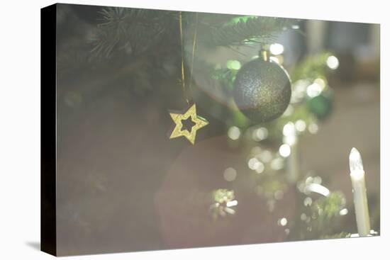 A Golden Star on the Christmas Tree-Petra Daisenberger-Premier Image Canvas