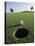 A Golf Ball Just Short of the Hole-null-Premier Image Canvas