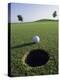 A Golf Ball Just Short of the Hole-null-Premier Image Canvas