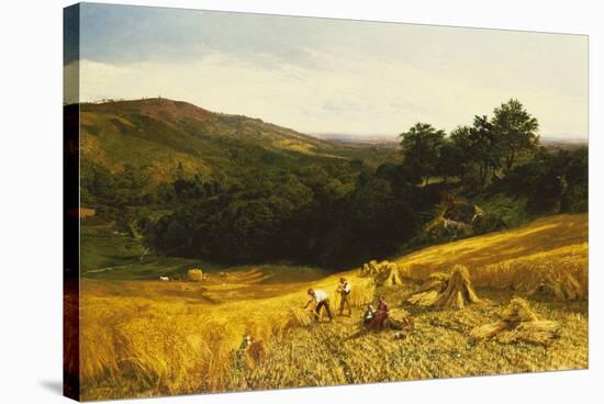 A Good Harvest-George Vicat Cole-Stretched Canvas