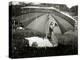 A Goose Takes Cover from the Heavy Rainfall Underneath an Umbrella, Dorset, October 1968-null-Premier Image Canvas