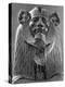 A Granite Sphinx of King Amenemhat III, C1820 BC-null-Premier Image Canvas