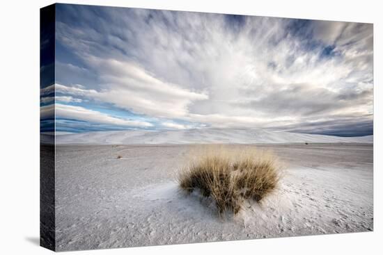 A Grass Mound in a Barren Desert in USA-Jody Miller-Premier Image Canvas