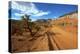 A Gravel Road Skirts the Capitol Reef in Capitol Reef National Park, Utah-Richard Wright-Premier Image Canvas