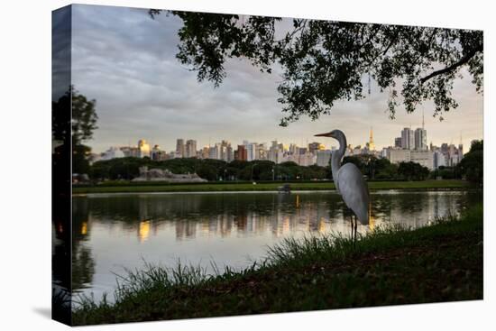 A Great Egret Looks Out over a Lake in Sao Paulo's Ibirapuera Park-Alex Saberi-Premier Image Canvas